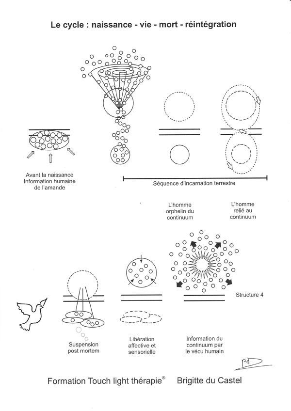 Le cycle naissance, vie, mort